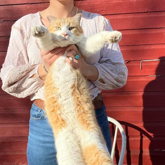 Flowy top - Picture 5 of 5